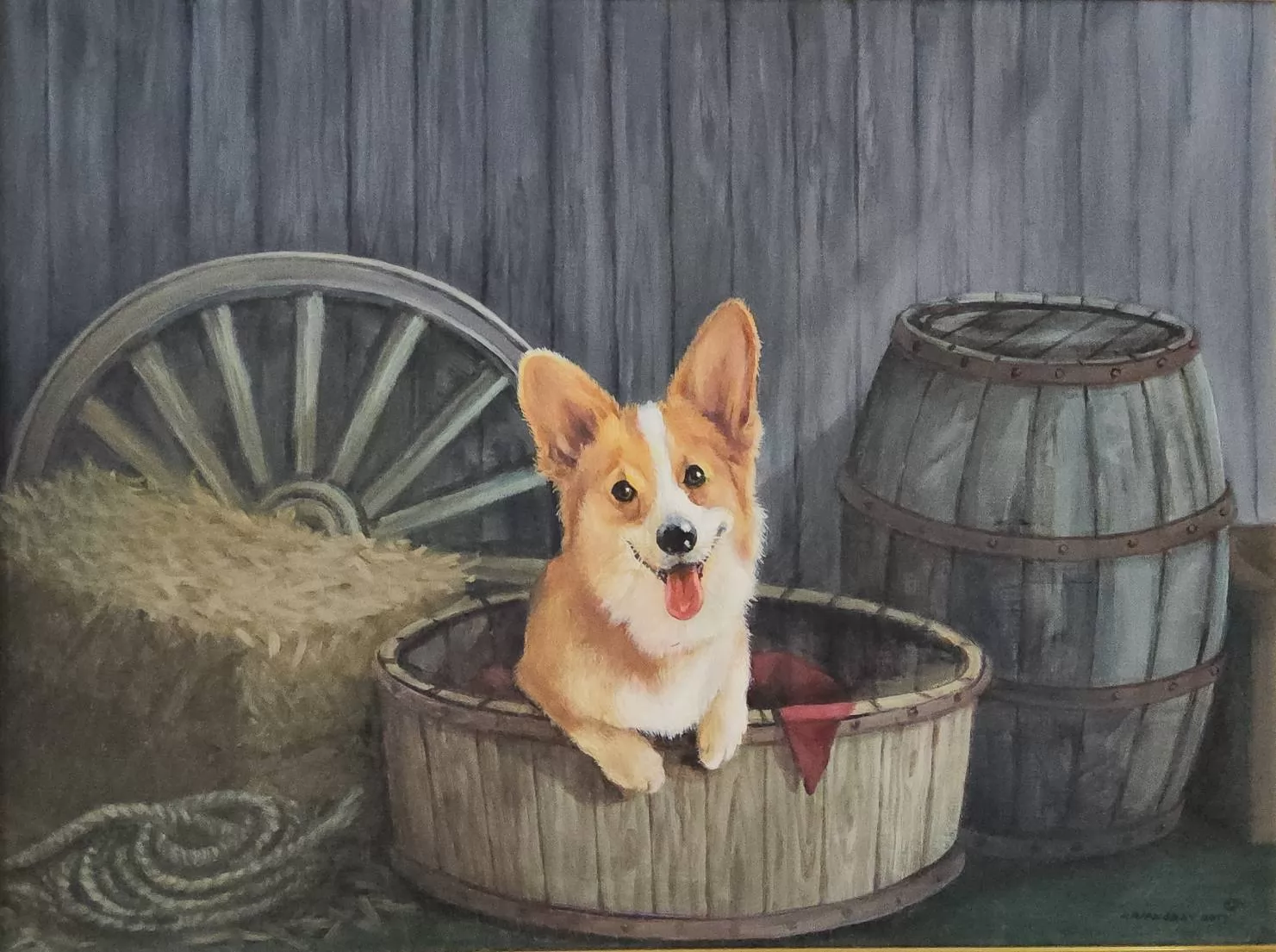 Corgi